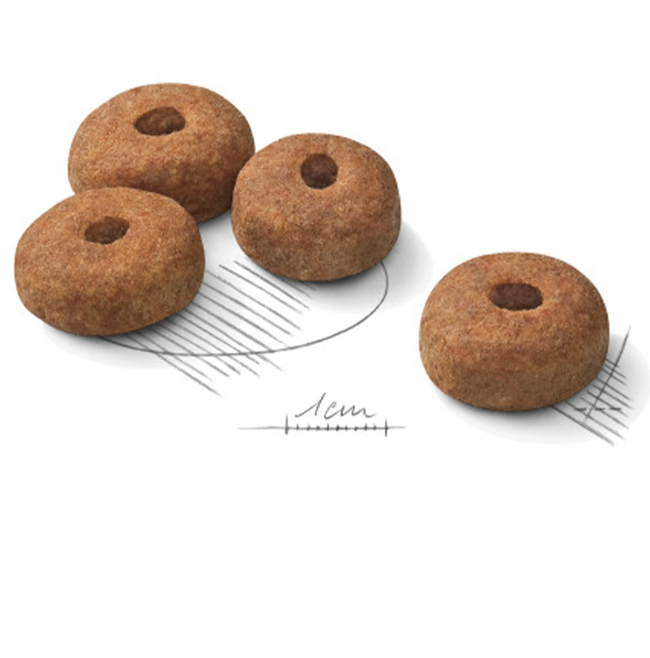 New ๐ฏ Royal Canin Maxi Adult Sterilised Care ๐ฆฎ Dog Food (9KG) ๐ฅ 2 New ๐ฏ Royal Canin Maxi Adult Sterilised Care ๐ฆฎ Dog Food (9KG) ๐ฅ - Image 2