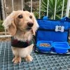 Top 10 👍 Mobile 🐶 Dog Gear Week Away Bag In Blue 🥰
