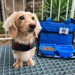 Top 10 👍 Mobile 🐶 Dog Gear Week Away Bag In Blue 🥰