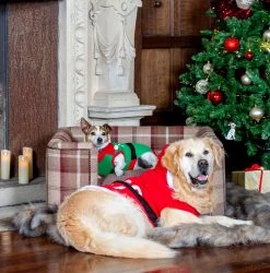 Best Sale 🔥 Lords & Labradors Personalised Tetford Square Chesterfield in Mulberry Tweed 🧨 -Lords & Labradors Sales mulberry1 2f1b01cc 17a5 474d 97b2 0363fb748eb8