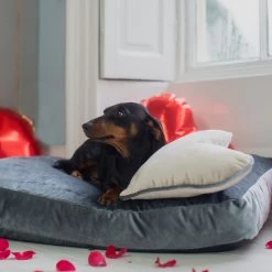 Wholesale 🔥 Lords & Labradors Luxurious Velvet 🦮 Dog Cushions 😉