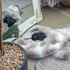 Brand new 😀 Lords & Labradors Mushroom & Reindeer Faux Fur 🐶 Dog & Puppy Blanket 😀 -Lords & Labradors Sales mushroom reindeer blanket 3