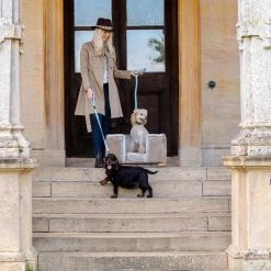 Brand new 😀 Lords & Labradors Mushroom Velvet Chesterfield 🐶 Dog Bed 🛒 -Lords & Labradors Sales mushroom velvet chesterfield dog bed size s l lifestyle