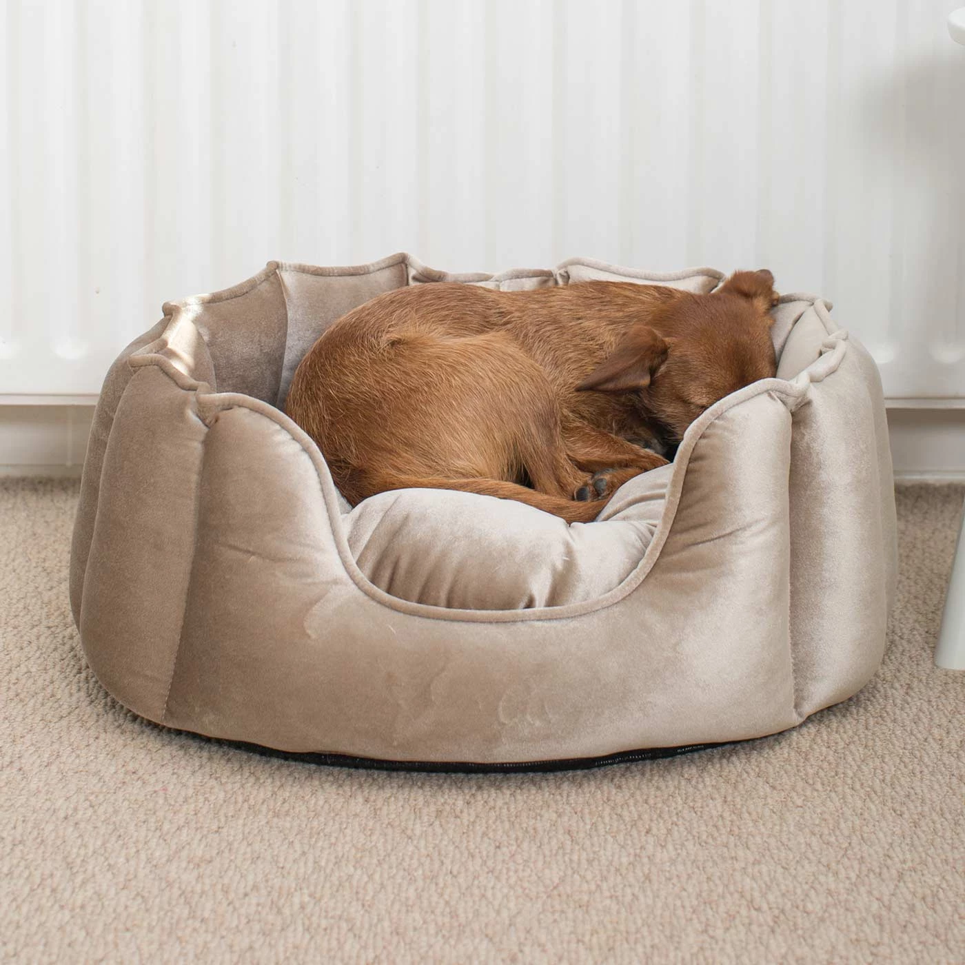 Best deal โค๏ธ Lords & Labradors High Wall Luxury Velvet Bed For ๐ Dogs โ 6 Best deal โค๏ธ Lords & Labradors High Wall Luxury Velvet Bed For ๐ Dogs โ - Image 6