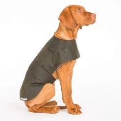 Buy 🎁 Mutt & Hounds Mutts & Hounds Wax Waterproof 🐕 Dog 🧥 Coat 🌟 -Lords & Labradors Sales mutts hounds wax dog coat dog studio olive