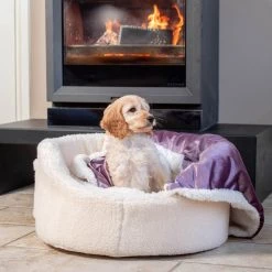 Wholesale ✔️ Danish Design My First Bed ❤️ -Lords & Labradors Sales my first bed