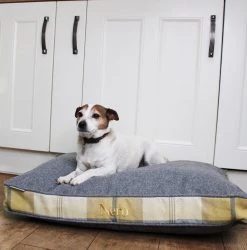 Deals 🔥 Personalised 🐶 Dog Cushion in Balmoral Ochre Ash by Lords & Labradors 🥰 -Lords & Labradors Sales nero e8121d97 7396 43c3 b4fe bfb135d4391d