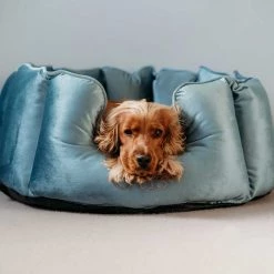 Hot Sale ๐ Lords & Labradors Personalised High Wall Luxury Velvet Bed For ๐ถ Dogs ๐ 13 Hot Sale ๐ Lords & Labradors Personalised High Wall Luxury Velvet Bed For ๐ถ Dogs ๐ -Lords & Labradors Sales otis high wall bed 2 926fad19 891e 4442 9333 26aaa84a65b6