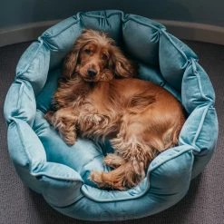 Hot Sale ๐ Lords & Labradors Personalised High Wall Luxury Velvet Bed For ๐ถ Dogs ๐ 14 Hot Sale ๐ Lords & Labradors Personalised High Wall Luxury Velvet Bed For ๐ถ Dogs ๐ -Lords & Labradors Sales otis high wall bed 3 8bc4f1d7 8a8d 4aa7 b35a 0d0889e71eef