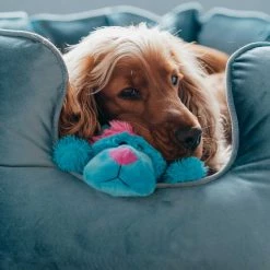 Best deal โค๏ธ Lords & Labradors High Wall Luxury Velvet Bed For ๐ Dogs โ 14 Best deal โค๏ธ Lords & Labradors High Wall Luxury Velvet Bed For ๐ Dogs โ -Lords & Labradors Sales otis non personalised 2