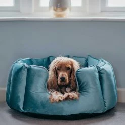 Best deal โค๏ธ Lords & Labradors High Wall Luxury Velvet Bed For ๐ Dogs โ