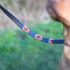 Hot Sale 😉 Pampeano Audaz 🦮 Dog Lead 🎁