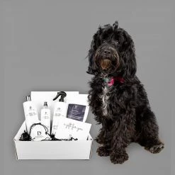 Best reviews of 🌟 Pawdaw of London Luxury Pamper Gift Box 🔥 9 Best reviews of 🌟 Pawdaw of London Luxury Pamper Gift Box 🔥 -Lords & Labradors Sales pawdaw of london luxury gift box for dogs studio dog
