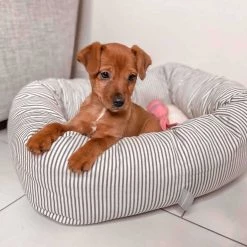 Best deal 🔔 Lords & Labradors Personalised Cosy & Calm Puppy Box Bed 💯 -Lords & Labradors Sales personalised cosy calm puppy box bed regency stripe close up