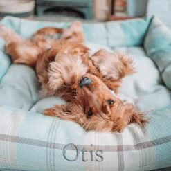 New 😉 Lords & Labradors Personalised Cosy Tweed Box Bed For 🐕 Dogs 😉