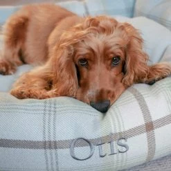 New 😉 Lords & Labradors Personalised Cosy Tweed Box Bed For 🐕 Dogs 😉 25 New 😉 Lords & Labradors Personalised Cosy Tweed Box Bed For 🐕 Dogs 😉 -Lords & Labradors Sales personalised cosy tweed box bed for dogs lifestyle top