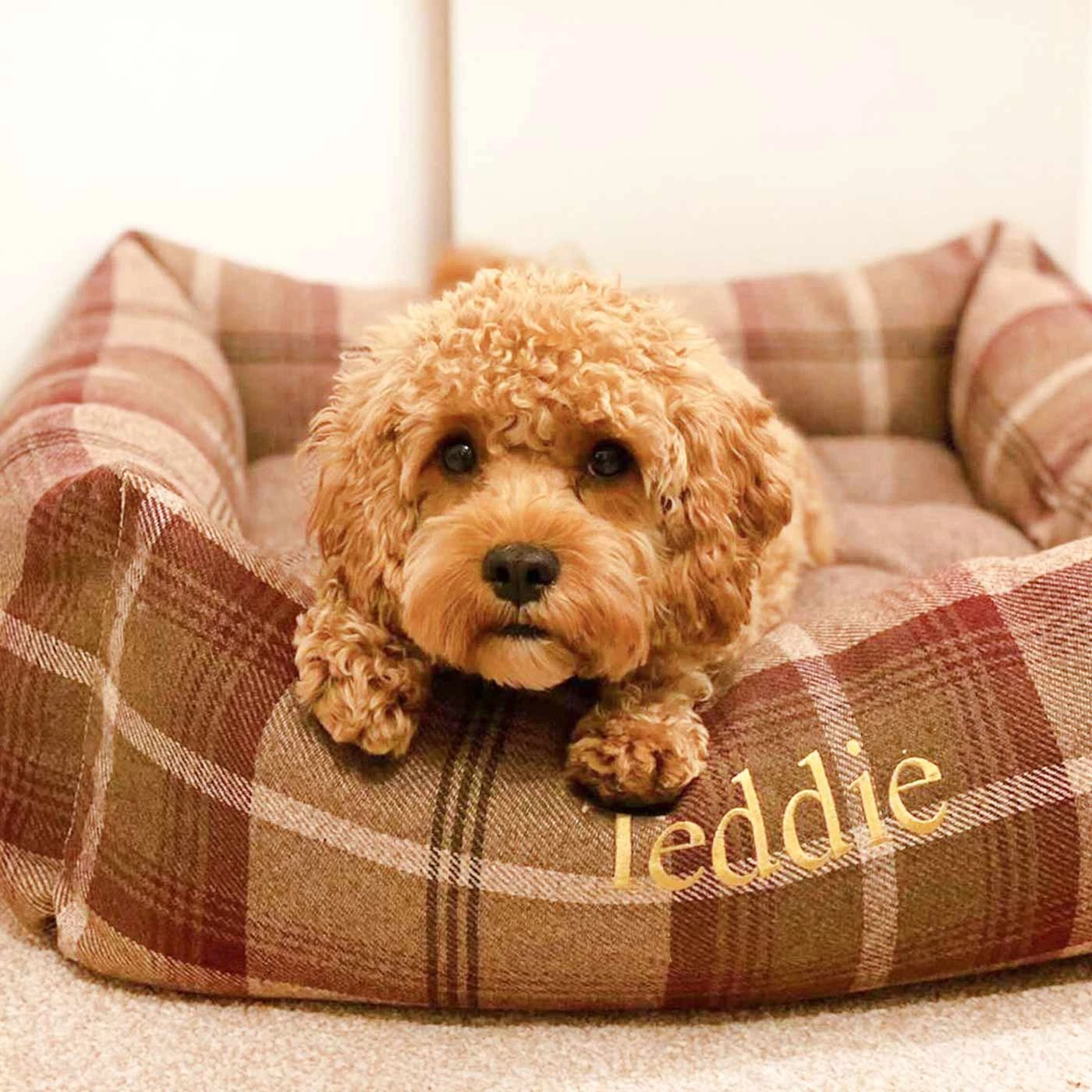 New 😉 Lords & Labradors Personalised Cosy Tweed Box Bed For 🐕 Dogs 😉 8 New 😉 Lords & Labradors Personalised Cosy Tweed Box Bed For 🐕 Dogs 😉 - Image 8