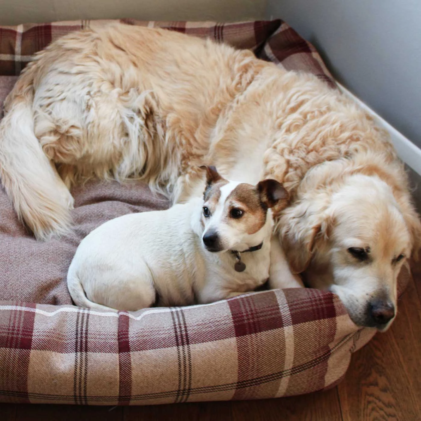New 😉 Lords & Labradors Personalised Cosy Tweed Box Bed For 🐕 Dogs 😉 12 New 😉 Lords & Labradors Personalised Cosy Tweed Box Bed For 🐕 Dogs 😉 - Image 12