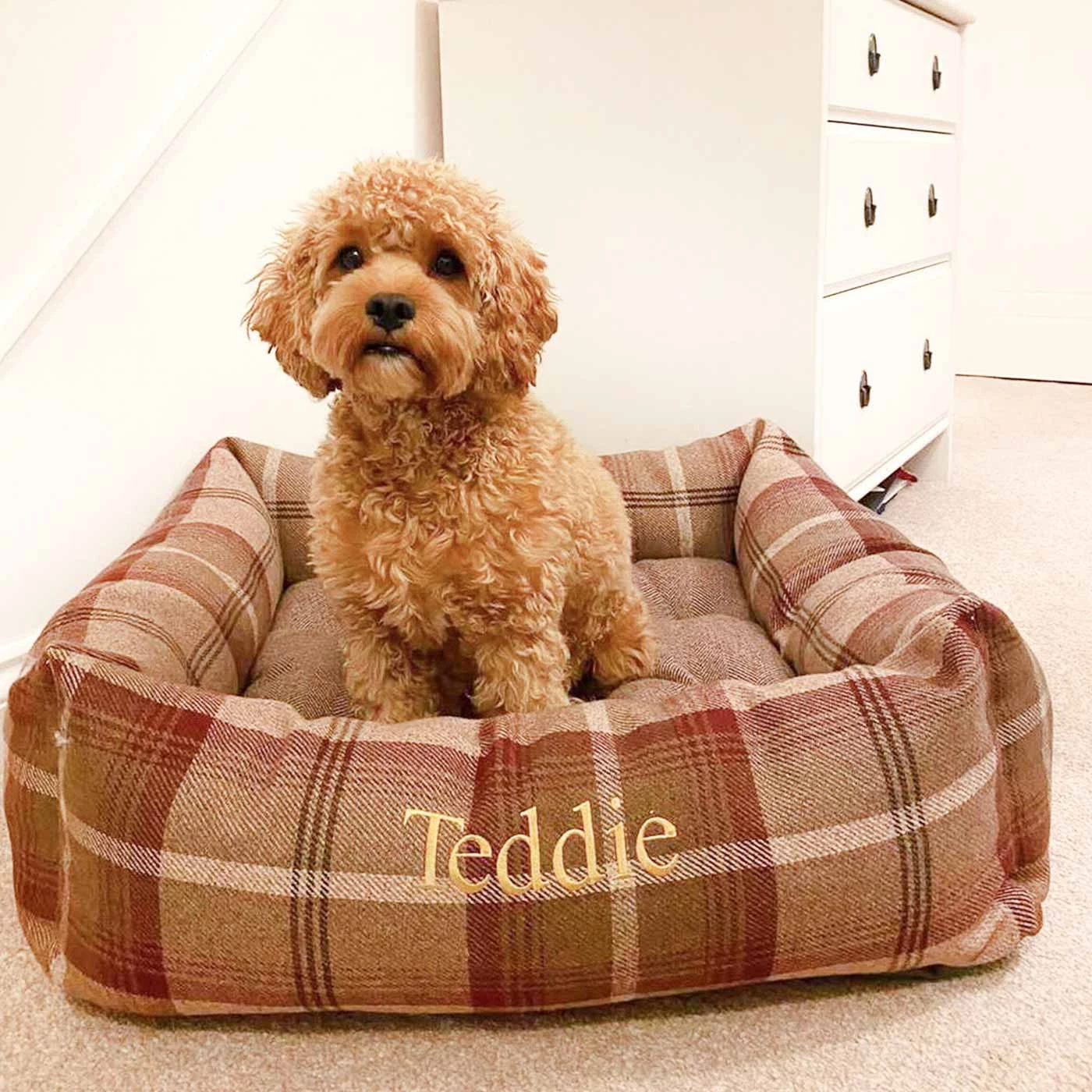 New 😉 Lords & Labradors Personalised Cosy Tweed Box Bed For 🐕 Dogs 😉 14 New 😉 Lords & Labradors Personalised Cosy Tweed Box Bed For 🐕 Dogs 😉 - Image 14