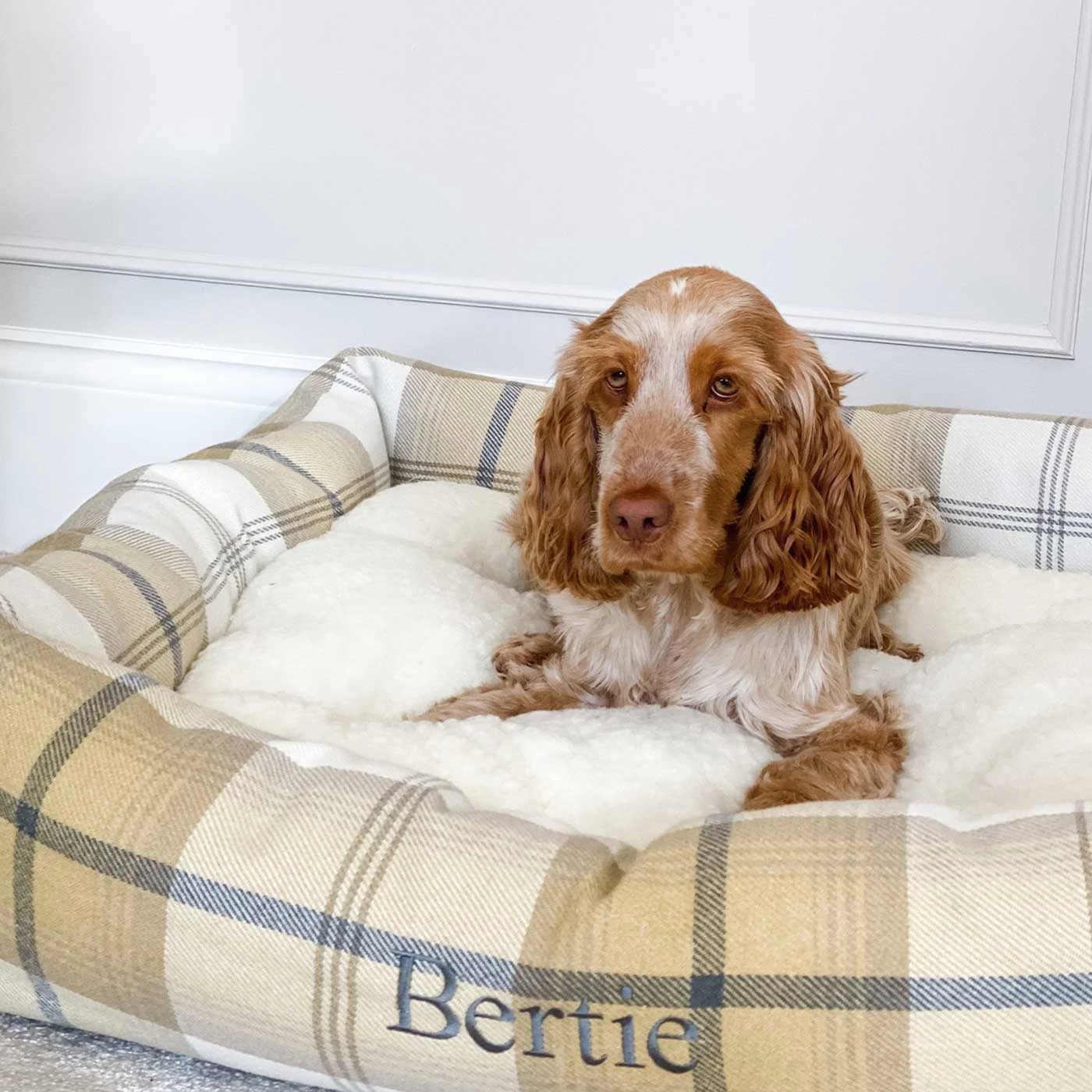 New 😉 Lords & Labradors Personalised Cosy Tweed Box Bed For 🐕 Dogs 😉 19 New 😉 Lords & Labradors Personalised Cosy Tweed Box Bed For 🐕 Dogs 😉 - Image 19