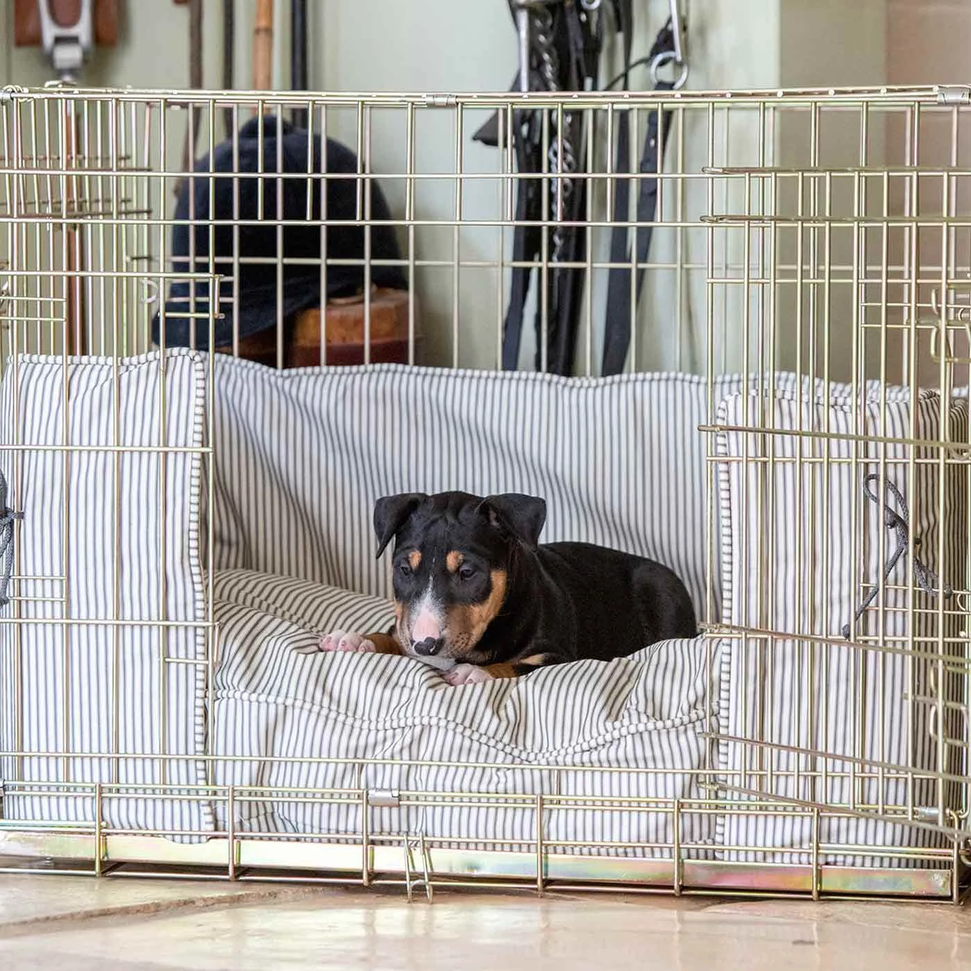 Top 10 ๐คฉ Personalised ๐ถ Dog Crate Bumper in Regency Stripe by Lords & Labradors ๐ฏ 2 Top 10 ๐คฉ Personalised ๐ถ Dog Crate Bumper in Regency Stripe by Lords & Labradors ๐ฏ - Image 2