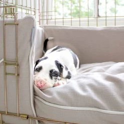 Hot Sale 💯 Personalised 🐶 Dog Crate Bumper in Savanna Oatmeal by Lords & Labradors 🤩 11 Hot Sale 💯 Personalised 🐶 Dog Crate Bumper in Savanna Oatmeal by Lords & Labradors 🤩 -Lords & Labradors Sales personalised dog crate bumper in savanna oatmeal by lords labradors puppy close up