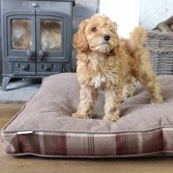 Best deal 🎉 Personalised 🐶 Dog Cushion in Balmoral Mulberry Tweed by Lords & Labradors ⭐