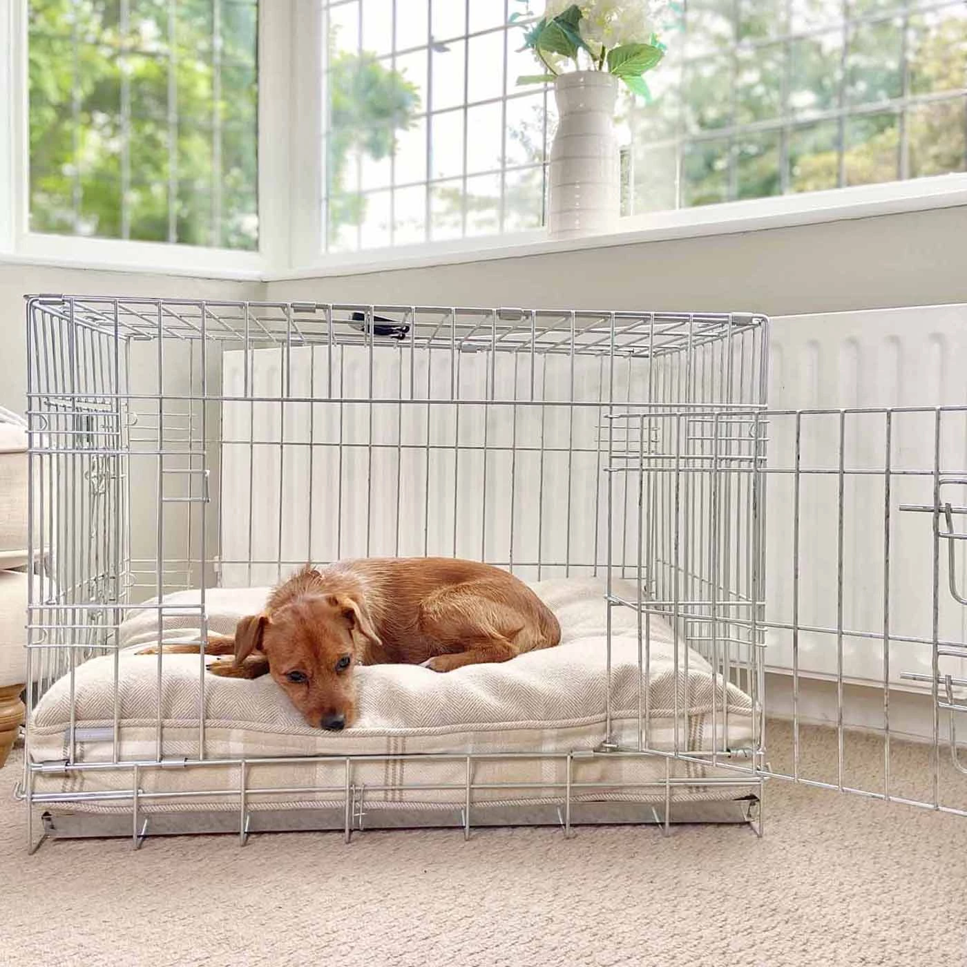 Cheap ๐ Personalised ๐ Dog Cushion in Balmoral Natural Tweed by Lords & Labradors ๐ 2 Cheap ๐ Personalised ๐ Dog Cushion in Balmoral Natural Tweed by Lords & Labradors ๐ - Image 2