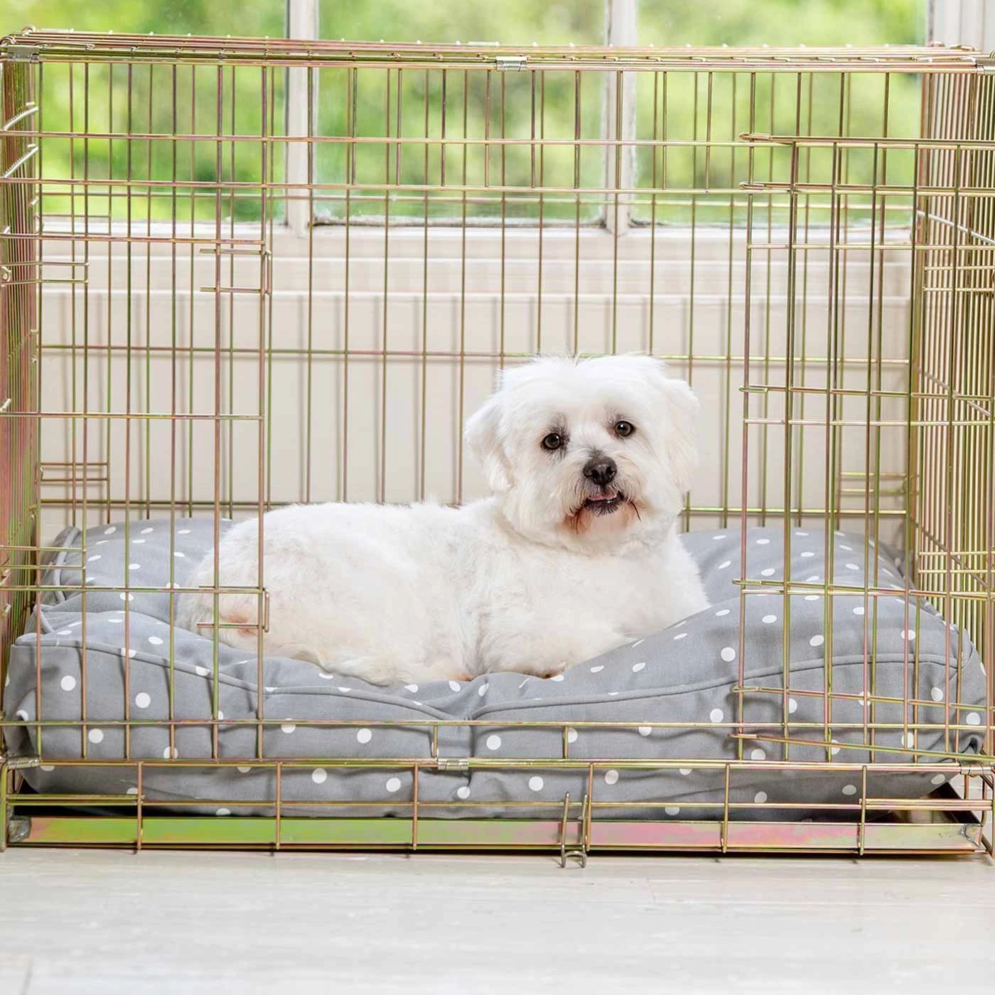 Brand new โจ Personalised ๐ Dog Cushion in Grey Spot by Lords & Labradors โ 1 Brand new โจ Personalised ๐ Dog Cushion in Grey Spot by Lords & Labradors โ