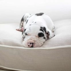 Best Sale 😉 Personalised 🐶 Dog Cushion in Savanna Oatmeal by Lords & Labradors 🎉 -Lords & Labradors Sales personalised dog cushion in savanna oatmeal by lords labradors