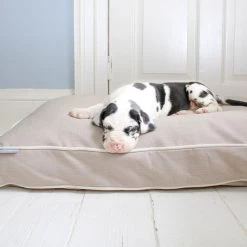 Best Sale 😉 Personalised 🐶 Dog Cushion in Savanna Oatmeal by Lords & Labradors 🎉 -Lords & Labradors Sales personalised dog cushion in savanna oatmeal by lords labradors dalmatian lifestyle