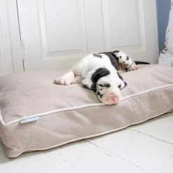 Best Sale 😉 Personalised 🐶 Dog Cushion in Savanna Oatmeal by Lords & Labradors 🎉 -Lords & Labradors Sales personalised dog cushion in savanna oatmeal by lords labradors dog