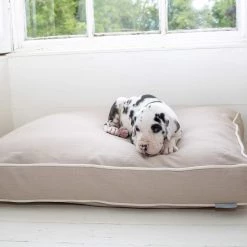 Best Sale 😉 Personalised 🐶 Dog Cushion in Savanna Oatmeal by Lords & Labradors 🎉