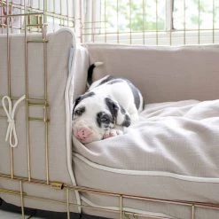 Best Sale 😉 Personalised 🐶 Dog Cushion in Savanna Oatmeal by Lords & Labradors 🎉 -Lords & Labradors Sales personalised dog cushion in savanna oatmeal by lords labradors puppy close up