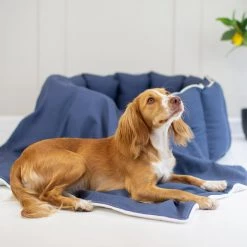 Coupon 🧨 Personalised 🐶 Dog & Puppy Savanna Blanket By Lords & Labradors 🔔 -Lords & Labradors Sales personalised dog puppy savanna blanket by lords labradors indigo lifestyle