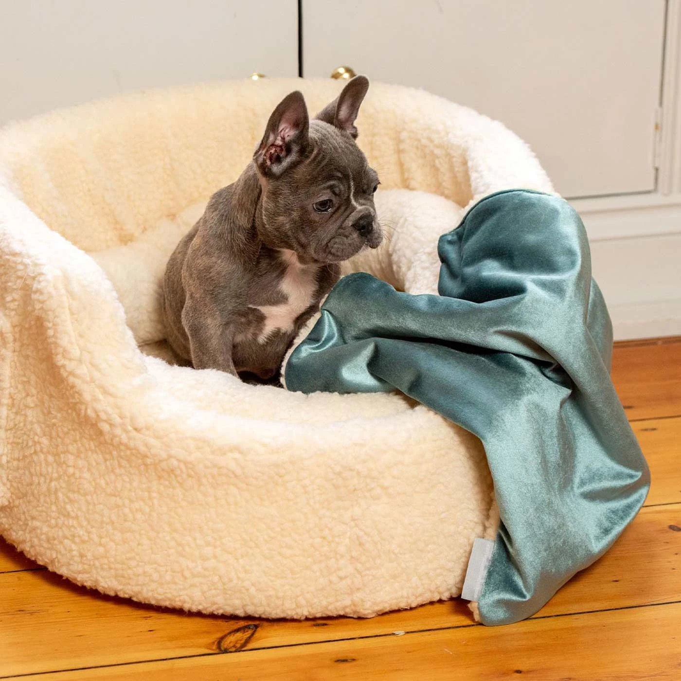 Hot Sale ๐ Personalised ๐ฆฎ Dog & Puppy Velvet Blanket By Lords & Labradors ๐ 1 Hot Sale ๐ Personalised ๐ฆฎ Dog & Puppy Velvet Blanket By Lords & Labradors ๐