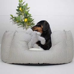 Hot Sale โญ Lords & Labradors Personalised High Wall Bed For ๐ฆฎ Dogs - Spots & Stripes Collection ๐คฉ