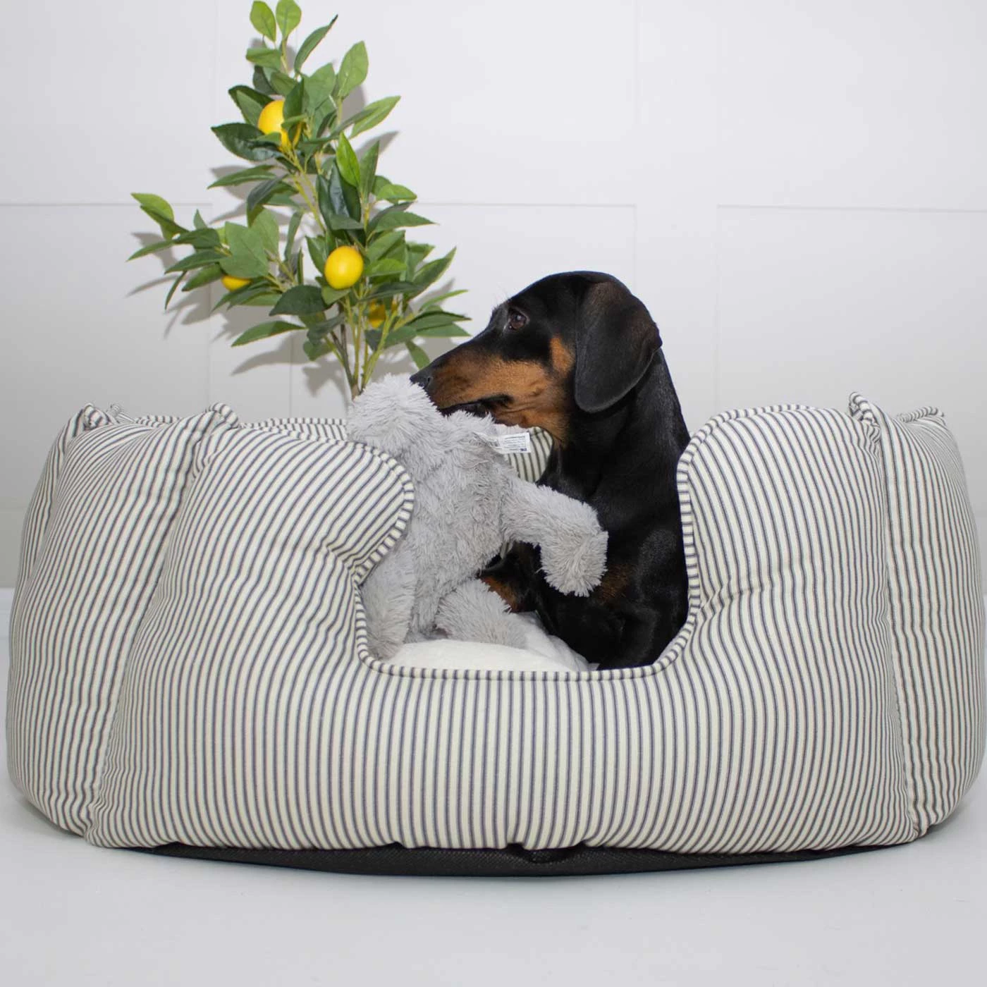 Hot Sale ⭐ Lords & Labradors Personalised High Wall Bed For 🦮 Dogs - Spots & Stripes Collection 🤩 1 Hot Sale ⭐ Lords & Labradors Personalised High Wall Bed For 🦮 Dogs - Spots & Stripes Collection 🤩