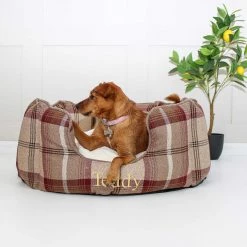 Best reviews of 🥰 Lords & Labradors Personalised High Wall Cosy Tweed Bed For 🐕 Dogs 🌟