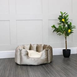 Cheap 😍 Lords & Labradors Personalised High Wall Luxury Velvet Bed For Cats 💯 -Lords & Labradors Sales personalised high wall luxury velvet bed for cats mushroom lifestyle