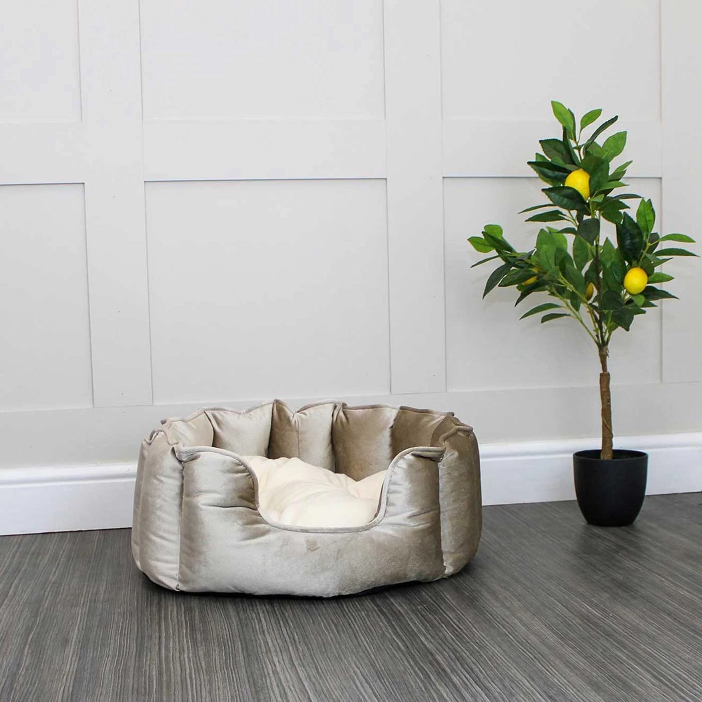 Hot Sale ๐ Lords & Labradors Personalised High Wall Luxury Velvet Bed For ๐ถ Dogs ๐ 2 Hot Sale ๐ Lords & Labradors Personalised High Wall Luxury Velvet Bed For ๐ถ Dogs ๐ - Image 2