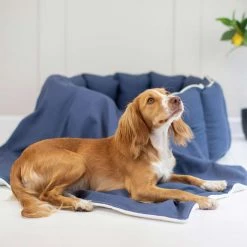 New 🎉 Lords & Labradors Personalised High Wall Savanna Bed For 🦮 Dogs ⌛ -Lords & Labradors Sales personalised high wall savanna bed for dogs indigo