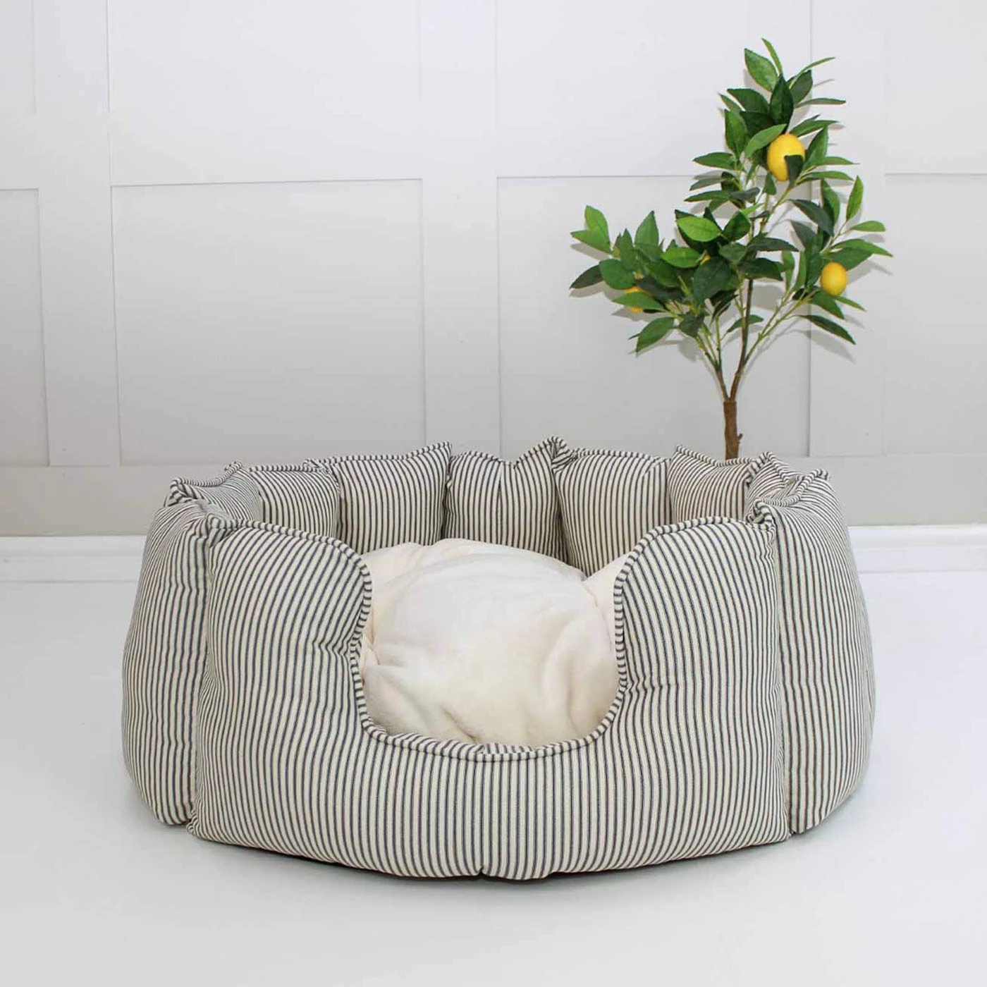 Best reviews of 👏 Lords & Labradors Personalised High Wall Bed For Cats - Signature Collection 🔥 6 Best reviews of 👏 Lords & Labradors Personalised High Wall Bed For Cats - Signature Collection 🔥 - Image 6