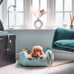 Brand new 🧨 Lords & Labradors Personalised Luxury Velvet Box Bed For 🦮 Dogs 🛒 -Lords & Labradors Sales personalised luxury velvet box bed for dogs duck egg