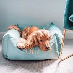 Brand new 🧨 Lords & Labradors Personalised Luxury Velvet Box Bed For 🦮 Dogs 🛒 -Lords & Labradors Sales personalised luxury velvet box bed for dogs duck egg close up