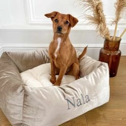 Brand new 🧨 Lords & Labradors Personalised Luxury Velvet Box Bed For 🦮 Dogs 🛒 -Lords & Labradors Sales personalised luxury velvet box bed for dogs mushroom velvet