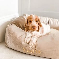 Brand new 🧨 Lords & Labradors Personalised Luxury Velvet Box Bed For 🦮 Dogs 🛒 -Lords & Labradors Sales personalised luxury velvet box bed for dogs mushroom velvet dog close