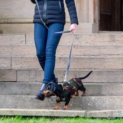 New 👏 Personalised Miniature Dachshund Fleece by Lords & Labradors 😀 30 New 👏 Personalised Miniature Dachshund Fleece by Lords & Labradors 😀 -Lords & Labradors Sales personalised miniature dachshund fleece by lords labradors camo lifestyle