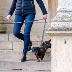 New 👏 Personalised Miniature Dachshund Fleece by Lords & Labradors 😀 31 New 👏 Personalised Miniature Dachshund Fleece by Lords & Labradors 😀 -Lords & Labradors Sales personalised miniature dachshund fleece by lords labradors camo stairs