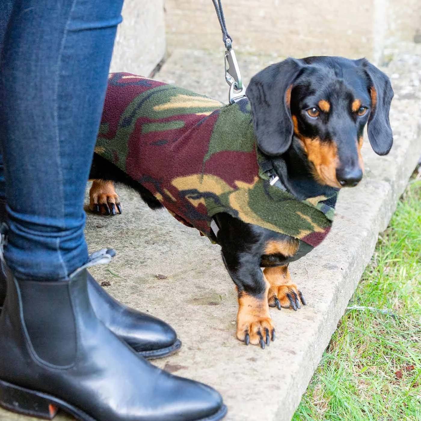 New 👏 Personalised Miniature Dachshund Fleece by Lords & Labradors 😀 7 New 👏 Personalised Miniature Dachshund Fleece by Lords & Labradors 😀 - Image 7